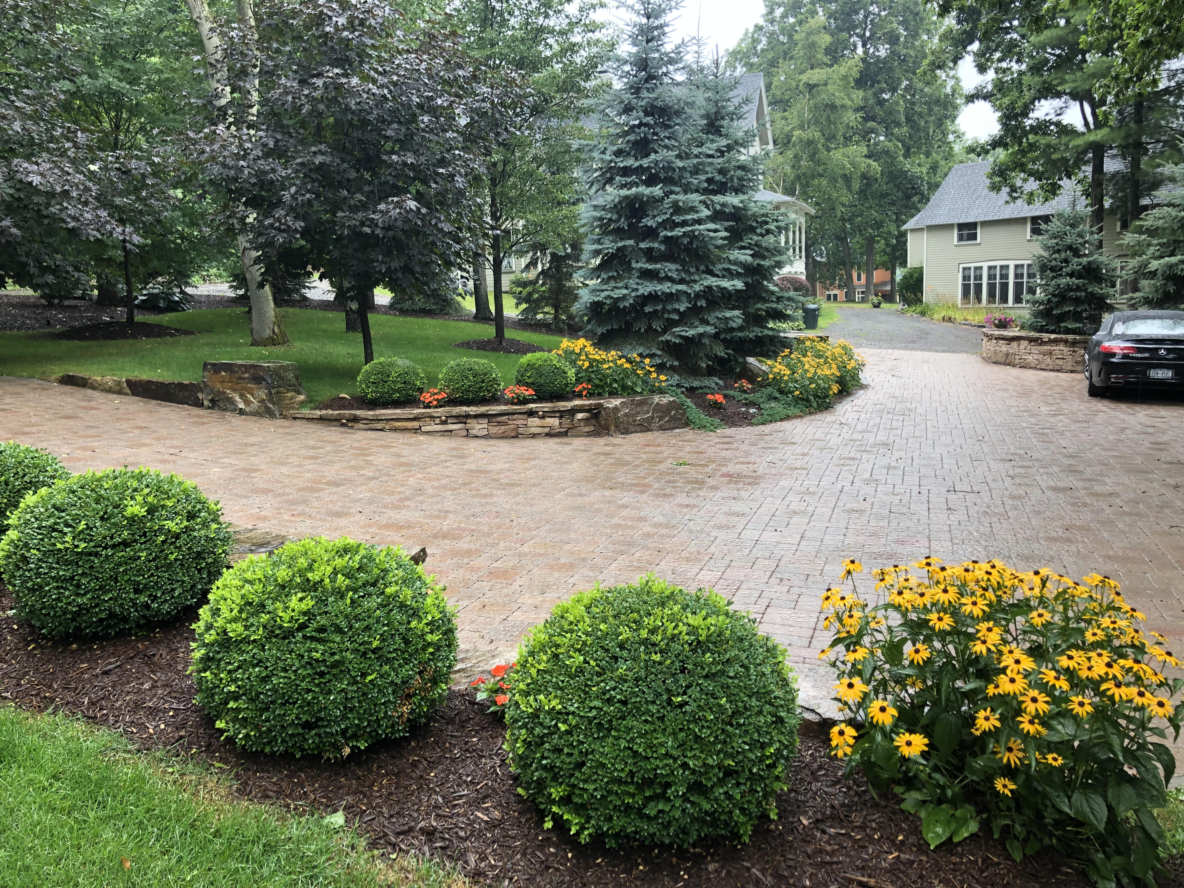 Driveway Accent Planting